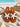 Starfish White Flats