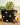 Crochet Tote Bag- Sunny
